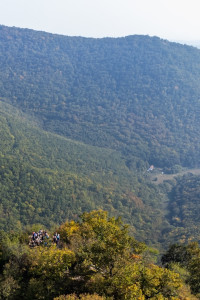 Köszönet a résztvevőknek